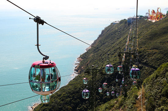 香港海洋公園今夏掀鯊魚風暴 攜亞洲最大鯊魚館搶灘內地市場
