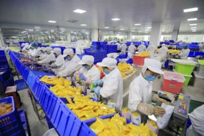 【牢記囑托 續(xù)寫驚奇】一碗米粉驚天下!柳南區(qū)&ldquo;螺螄粉+&rdquo;全力推動一二三產(chǎn)業(yè)融合發(fā)展