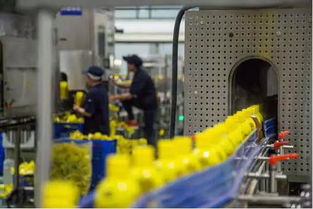 又一國產(chǎn)飲料巨頭倒下 曾年賣50億請范冰冰代言,如今老板失聯(lián)