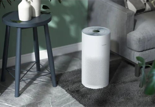 2021年米粉節全面來襲,哪些生態鏈公司值得關注